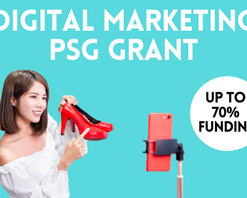 Digital Marketing PSG Grant